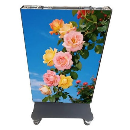 Halo Display LED Wall 1.53 (Pair + Flight Case)